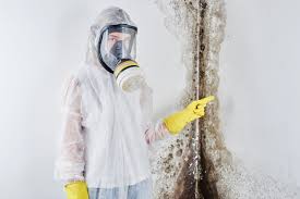 Best Forensic Mold Investigation  in Chickasaw, AL